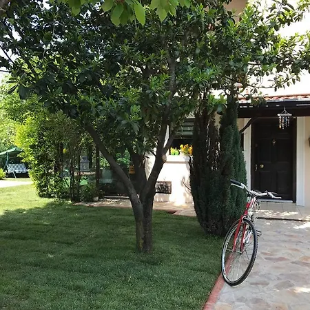 Kirkpinar - Isitmali Havuz Villa