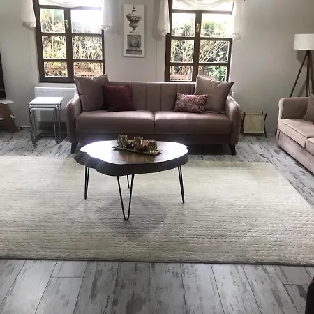 Willa Kirkpinar - Isitmali Havuz Sapanca